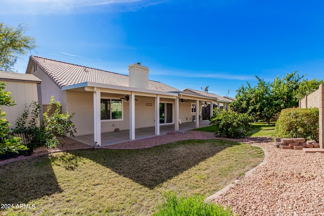 rear view of property with a patio and a yard