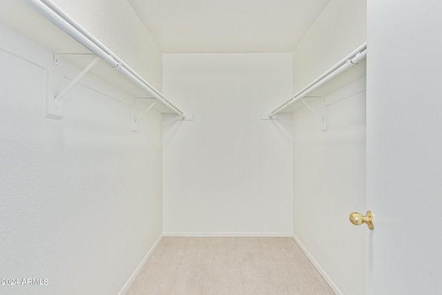 spacious closet with carpet floors