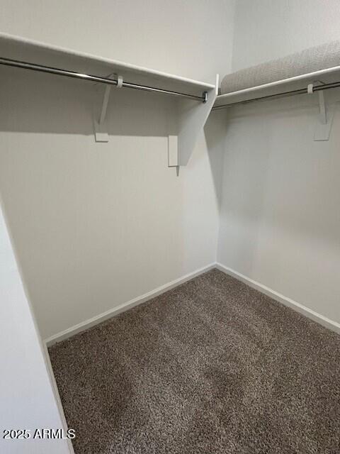 spacious closet featuring carpet