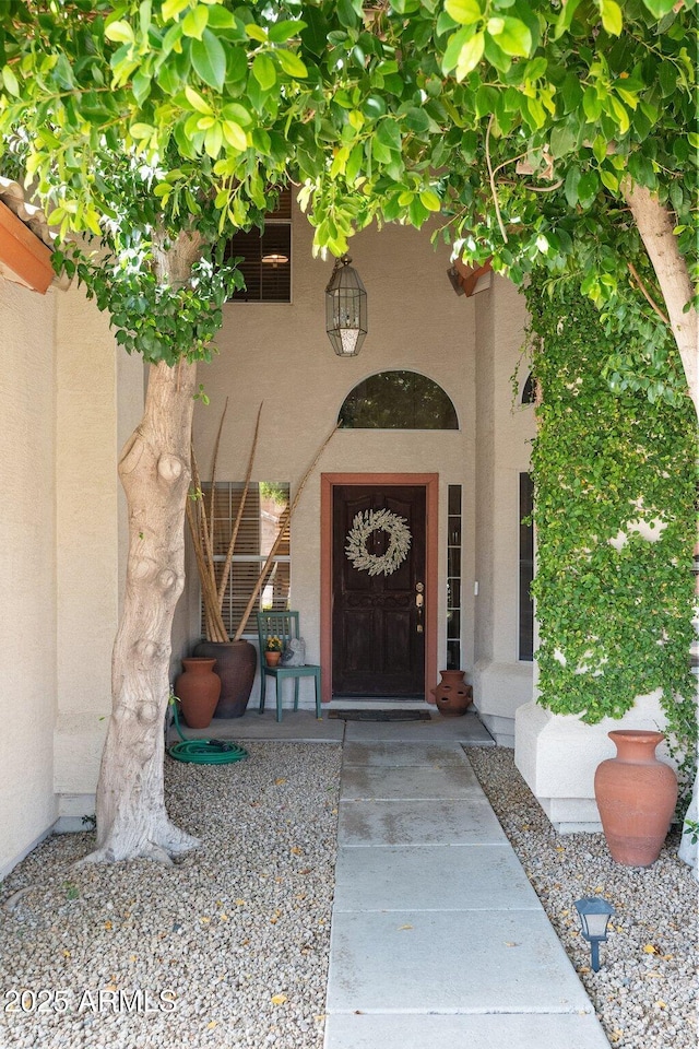 entrance to property featuring stucco siding
