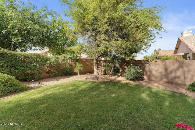 view of yard with a fenced backyard