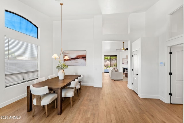 dining area featuring light wood-type flooring, ceiling fan, and a high ceiling