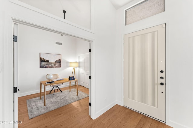 foyer featuring wood-type flooring