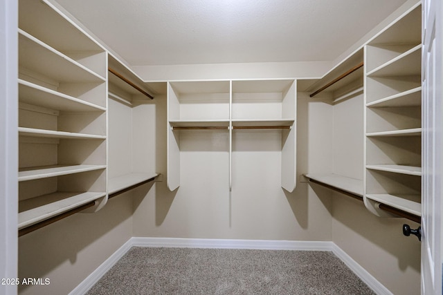 3897 E Douglas Loop, Gilbert, AZ 85234 - walk in closet featuring carpet