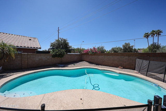3897 E Douglas Loop, Gilbert, AZ 85234 - view of swimming pool featuring a fenced backyard