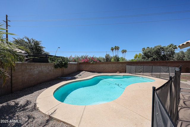 3897 E Douglas Loop, Gilbert, AZ 85234 - view of pool featuring a fenced backyard