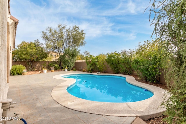 view of pool with a patio area