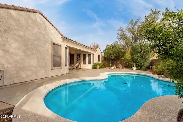 view of pool featuring a patio