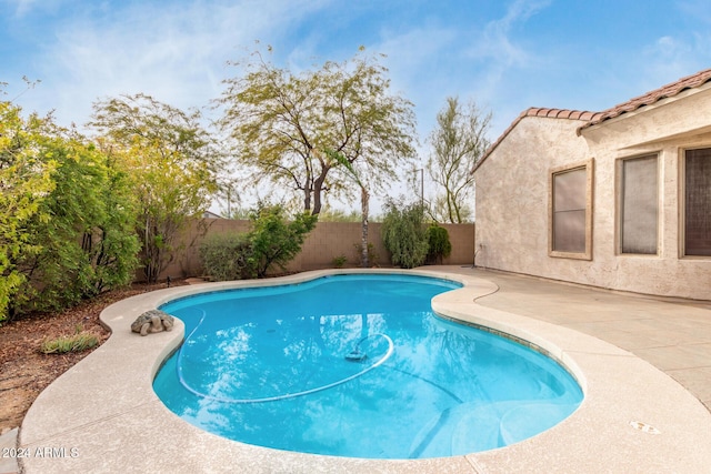 view of swimming pool featuring a patio area