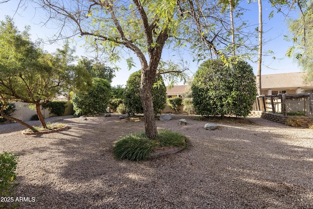 10609 E Cedar Waxwing Dr, Sun Lakes, AZ 85248 - view of yard featuring fence