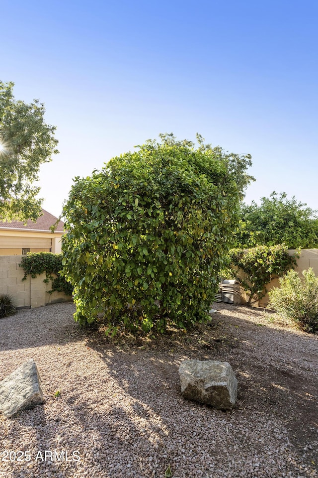 10609 E Cedar Waxwing Dr, Sun Lakes, AZ 85248 - view of yard featuring fence