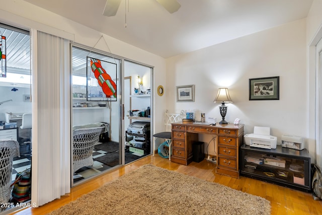 office area featuring ceiling fan and light hardwood / wood-style flooring