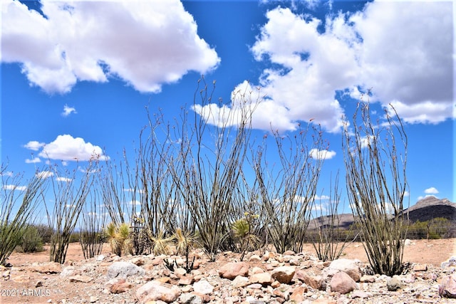 view of mountain feature