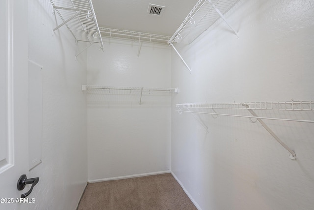 walk in closet featuring carpet floors