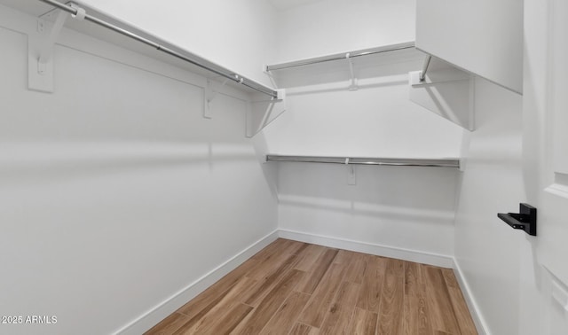 walk in closet with hardwood / wood-style floors