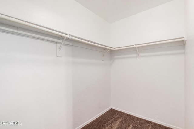 3719 W Carson Rd, Phoenix, AZ 85041 - spacious closet with dark carpet