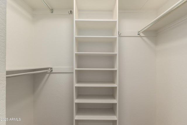 view of walk in closet