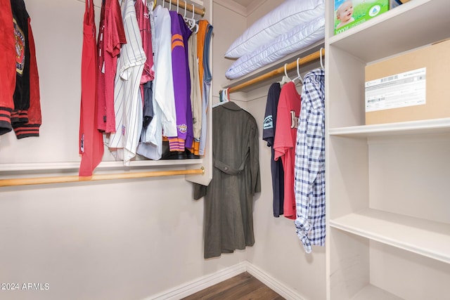 walk in closet featuring wood finished floors