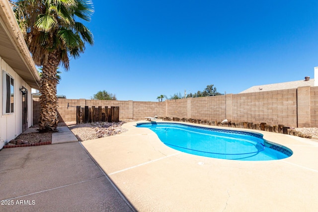 view of pool featuring a patio, a fenced backyard, and a fenced in pool
