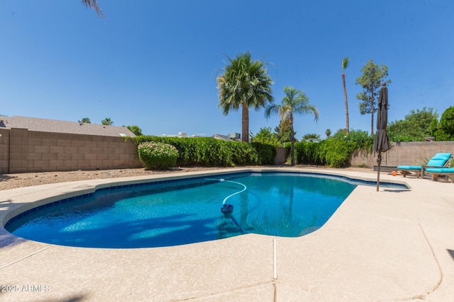 6417 E Kings Ave, Scottsdale, AZ 85254 - view of pool featuring a fenced backyard and a patio area