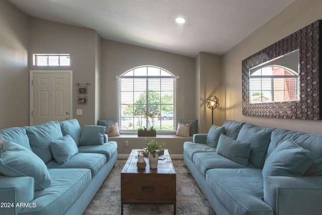 carpeted living room with a wealth of natural light and lofted ceiling