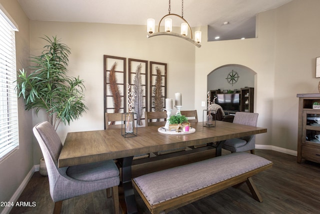 dining room featuring lofted ceiling, a wealth of natural light, and dark wood-type flooring