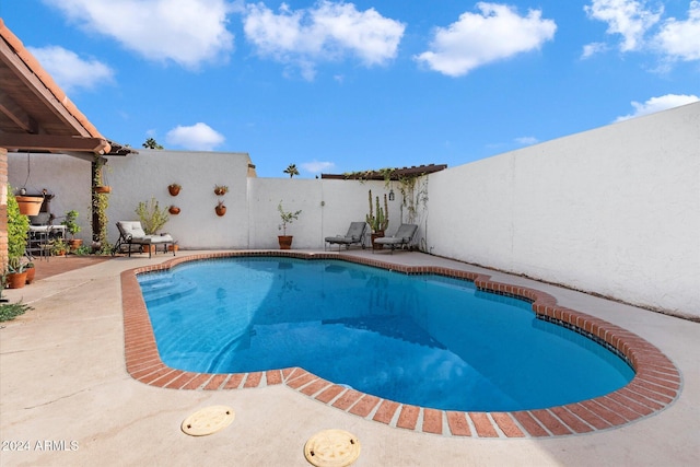 view of swimming pool with a patio