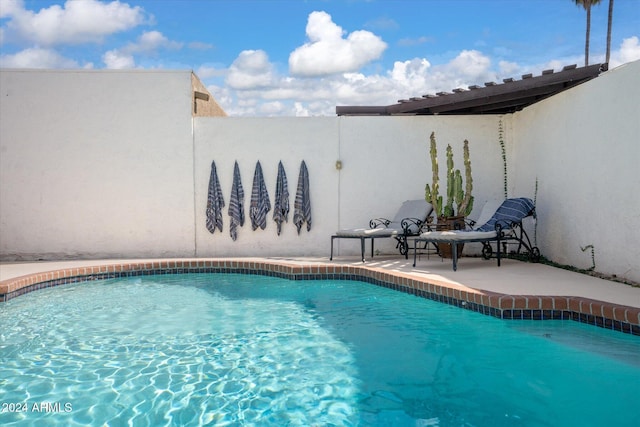 view of pool with a patio area