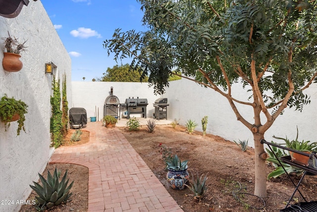 view of yard with a patio