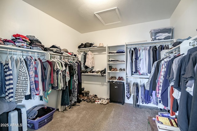 walk in closet featuring carpet and attic access