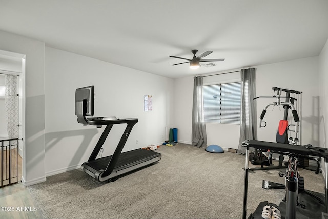 exercise area featuring carpet floors, baseboards, visible vents, and ceiling fan