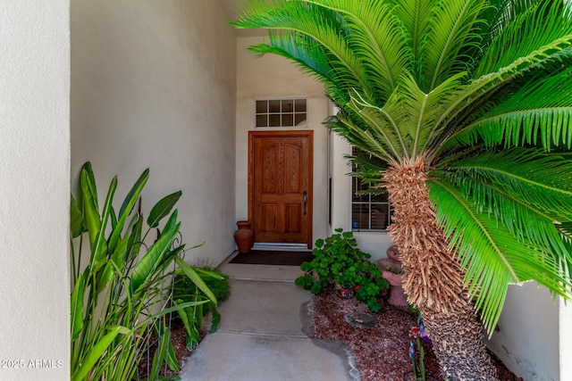 7648 W Mauna Loa Ln, Peoria, AZ 85381 - entrance to property featuring stucco siding