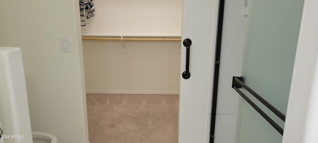 spacious closet featuring light carpet