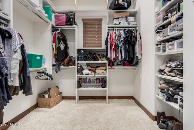 21615 E Pegasus Pkwy, Queen Creek, AZ 85142 - view of spacious closet