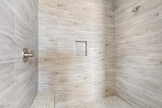 37478 W Hayes St, Tonopah, AZ 85354 - bathroom with tiled shower