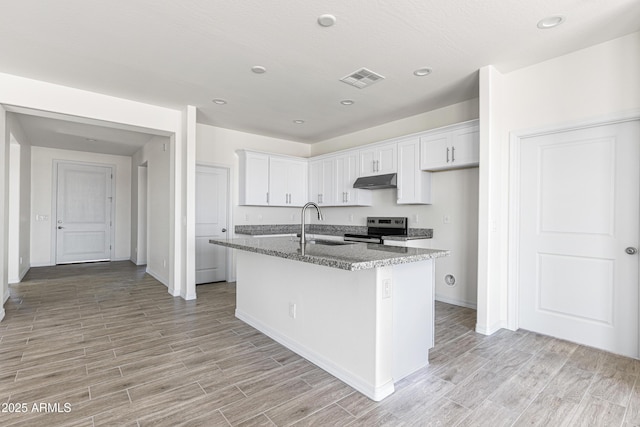 37478 W Hayes St, Tonopah, AZ 85354 - kitchen with stainless steel electric range, under cabinet range hood, light wood-style flooring, stone counters, and recessed lighting