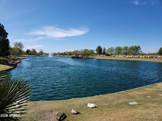 view of water feature