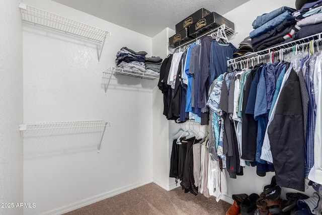 3041 E Fremont Rd, Phoenix, AZ 85042 - walk in closet featuring carpet flooring