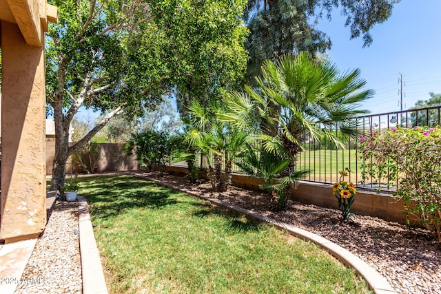 3041 E Fremont Rd, Phoenix, AZ 85042 - view of fenced backyard