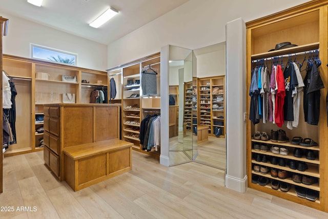 spacious closet featuring light wood-style flooring