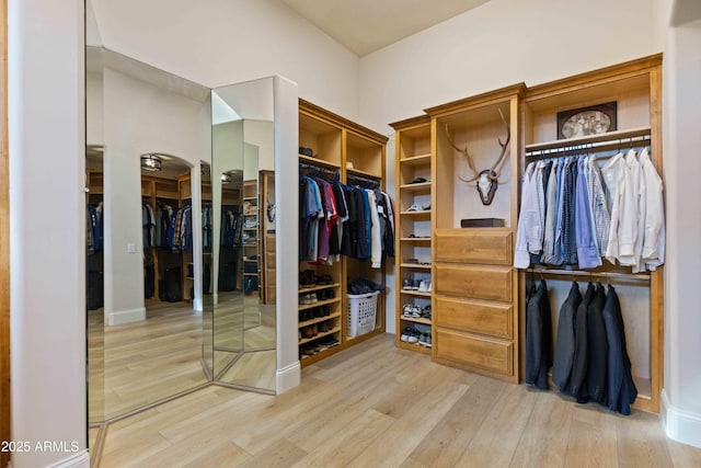 spacious closet featuring light wood-type flooring