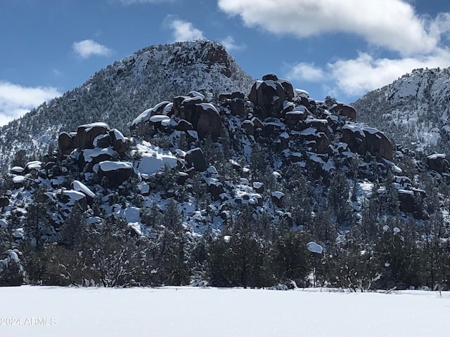 view of mountain feature