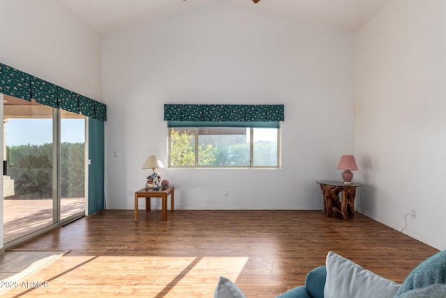 interior space featuring high vaulted ceiling, plenty of natural light, and hardwood / wood-style floors