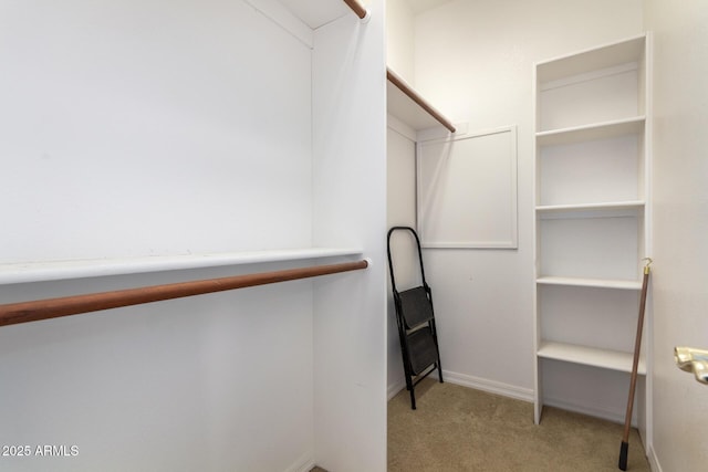 walk in closet with light carpet