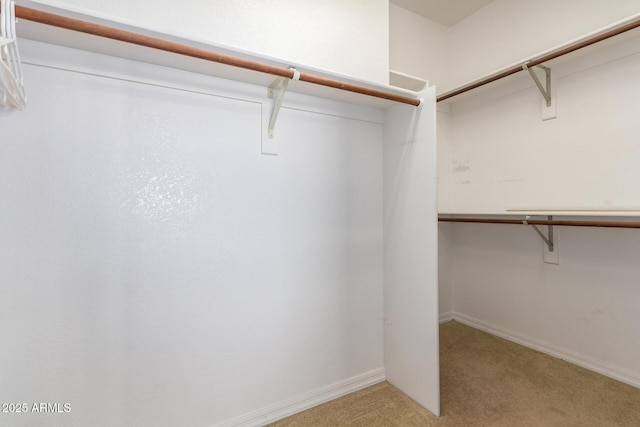 spacious closet with carpet flooring