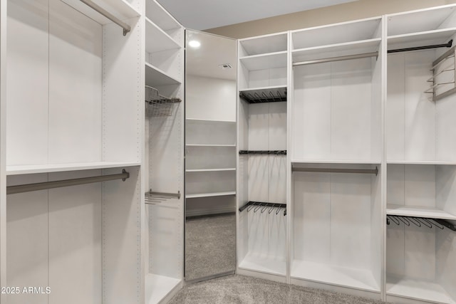 spacious closet with carpet flooring