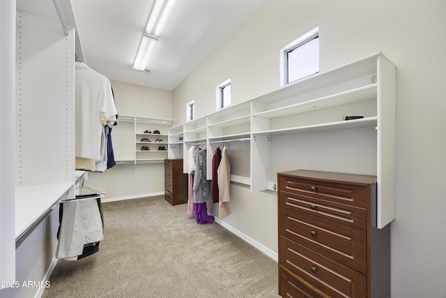 2727 S Balboa Dr, Gilbert, AZ 85295 - walk in closet featuring carpet floors