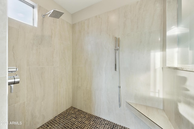2727 S Balboa Dr, Gilbert, AZ 85295 - bathroom with a tile shower and lofted ceiling