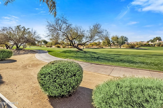 surrounding community featuring a lawn