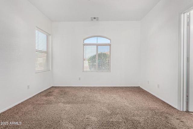 carpeted empty room with a wealth of natural light